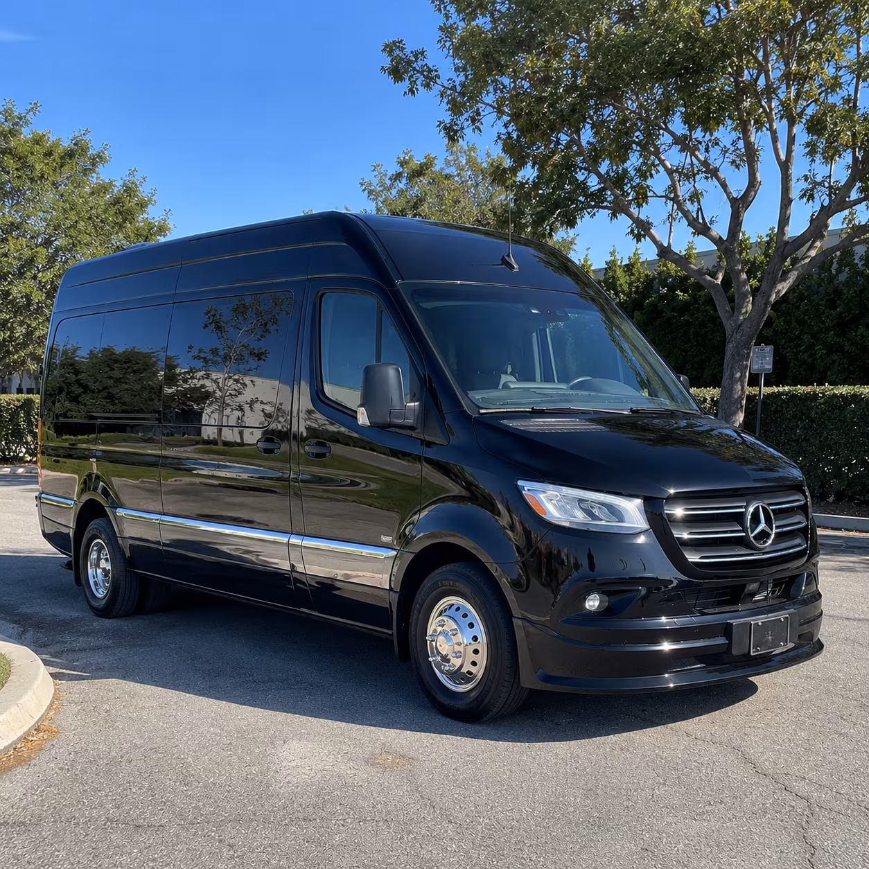 menifee birthday party transportation